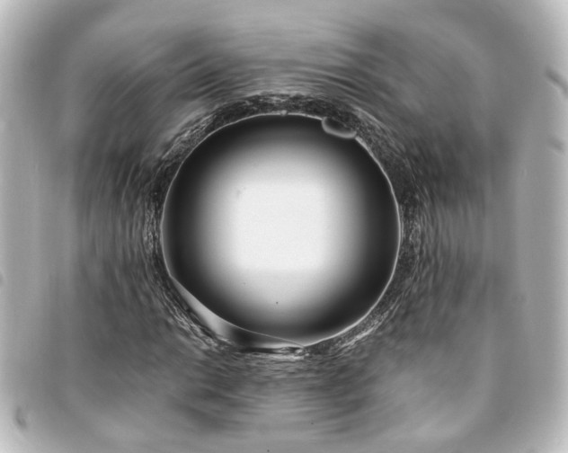 X0000094361014200711021505