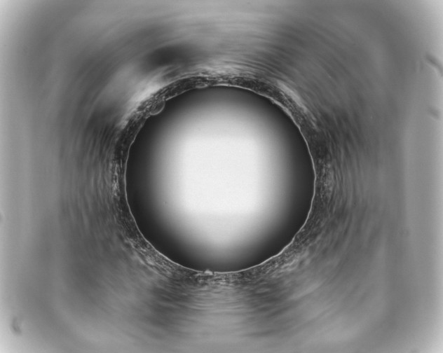 X0000094361016200711021505