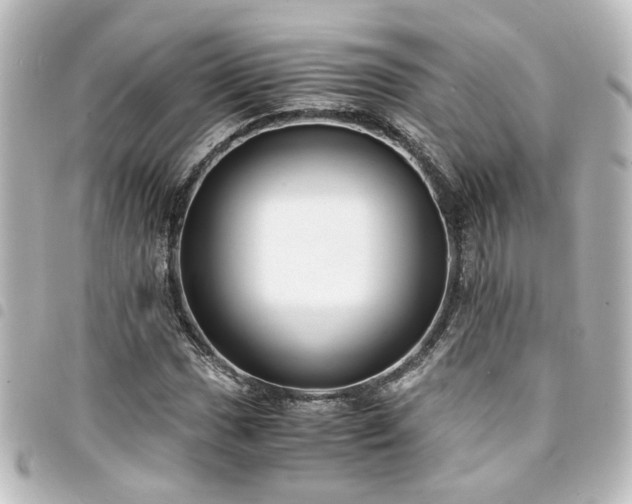 X0000094361017200711021505