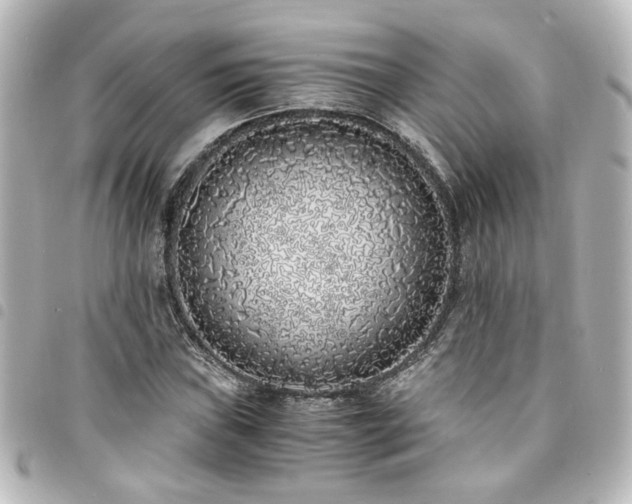 X0000094361019200711021505