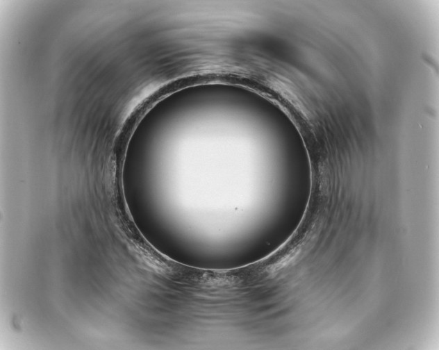 X0000094361021200711021505
