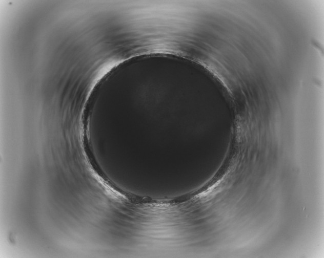 X0000094361024200711021505