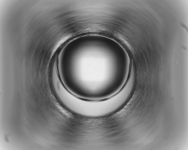 X0000094361026200711021505