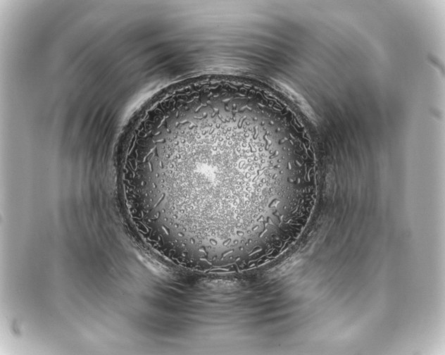 X0000094361027200711021505
