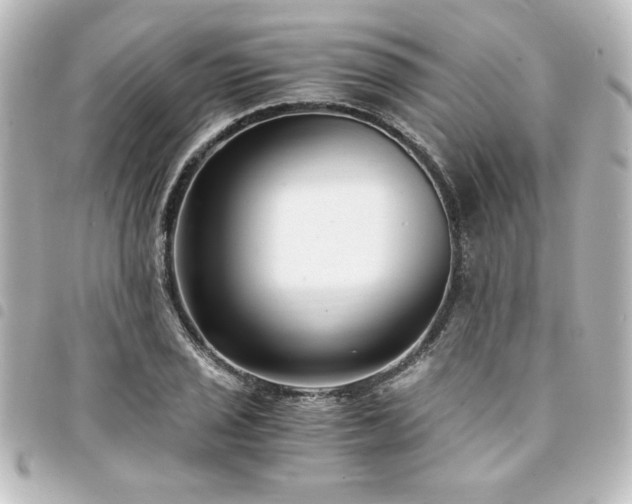 X0000094361029200711021505