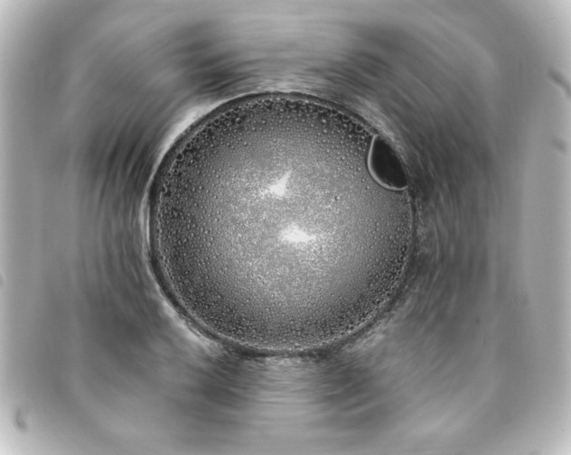 X0000094361032200711021505
