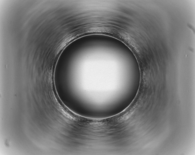 X0000094361033200711021505