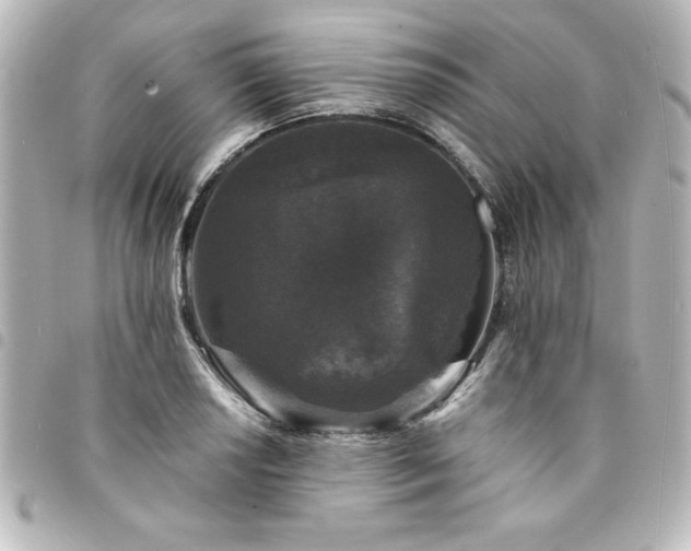 X0000094361034200711021505