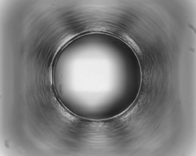 X0000094361036200711021505