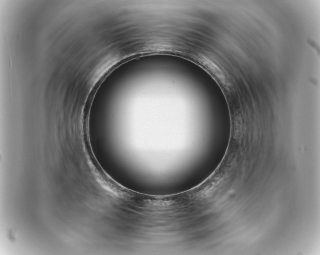 X0000094361039200711021505