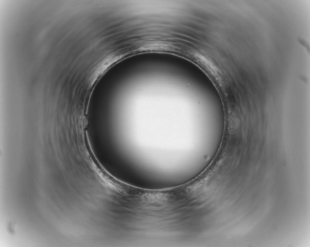 X0000094361041200711021505