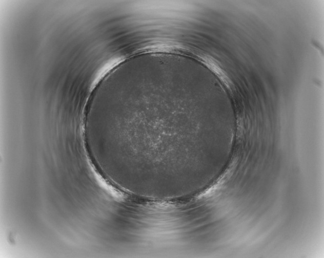 X0000094361042200711021505