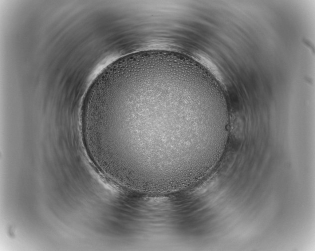 X0000094361043200711021505