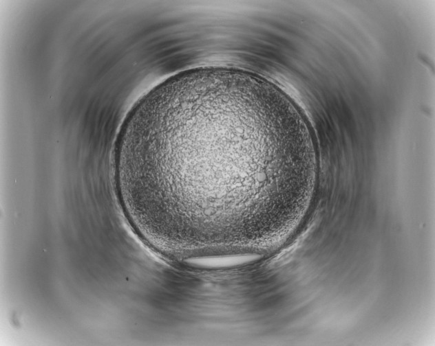 X0000094361045200711021505