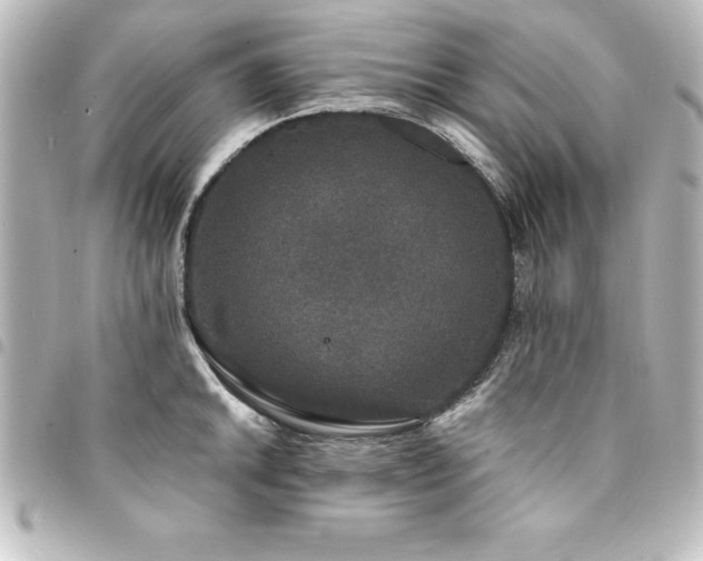 X0000094361046200711021506