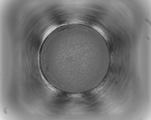 X0000094361047200711021506