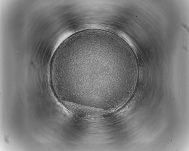 X0000094361048200711021506