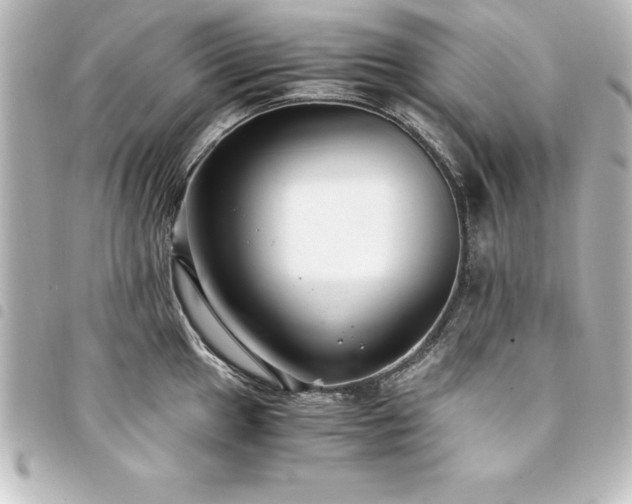 X0000094361049200711021506
