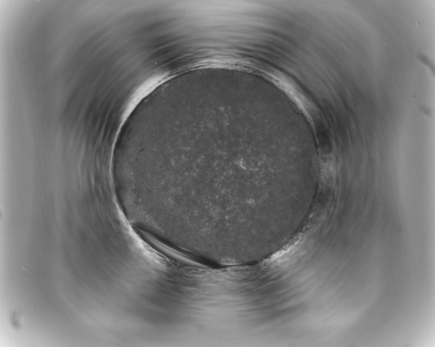 X0000094361050200711021506