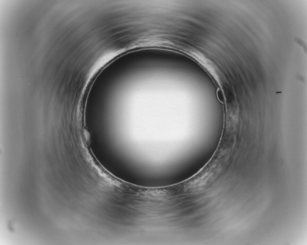 X0000094361053200711021506