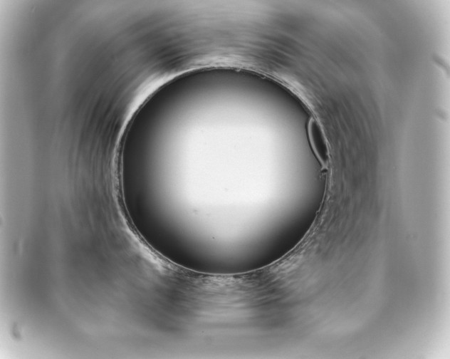 X0000094361056200711021506