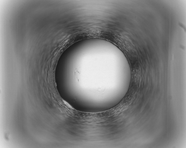 X0000094361057200711021505