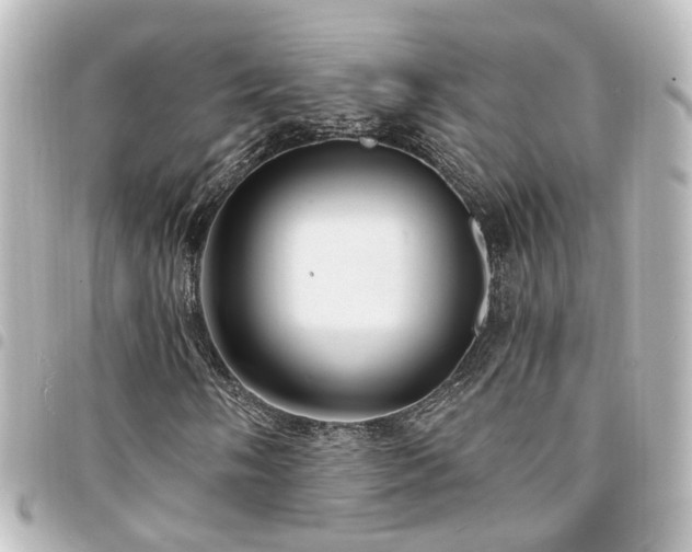 X0000094361058200711021505