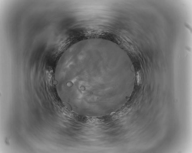 X0000094361059200711021505