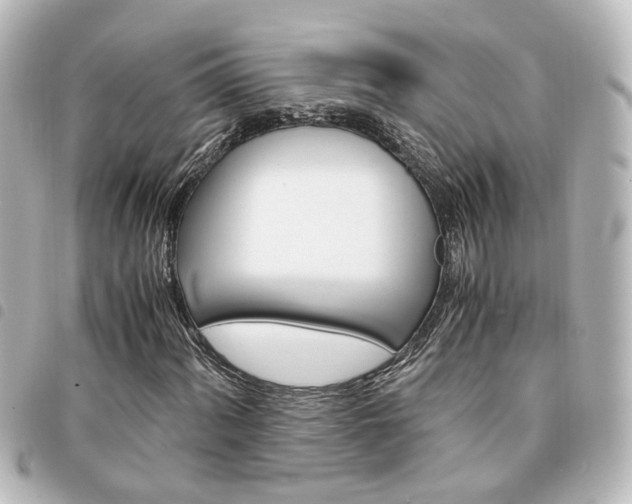 X0000094361060200711021505