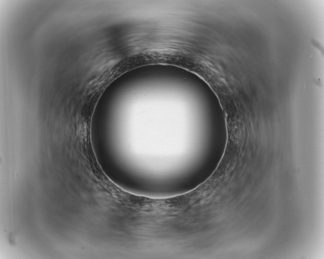 X0000094361061200711021505