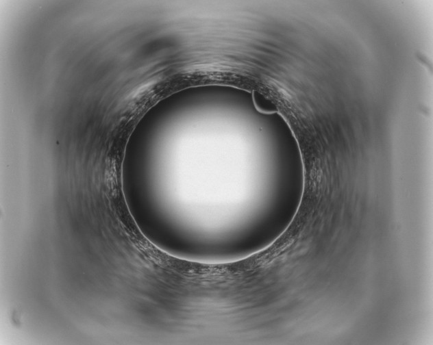 X0000094361062200711021505