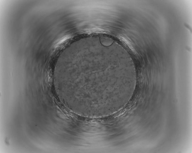 X0000094361063200711021505
