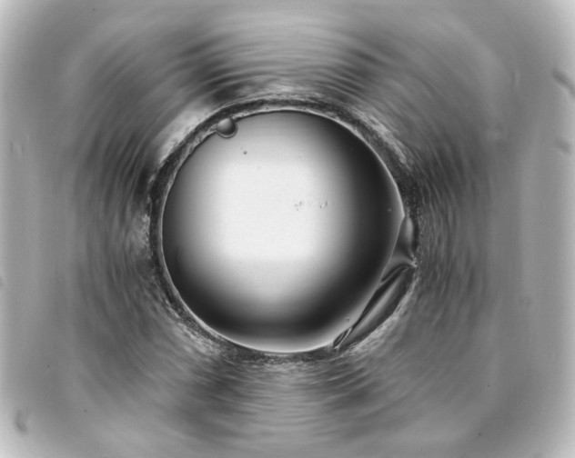 X0000094361066200711021505