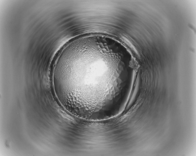 X0000094361068200711021505