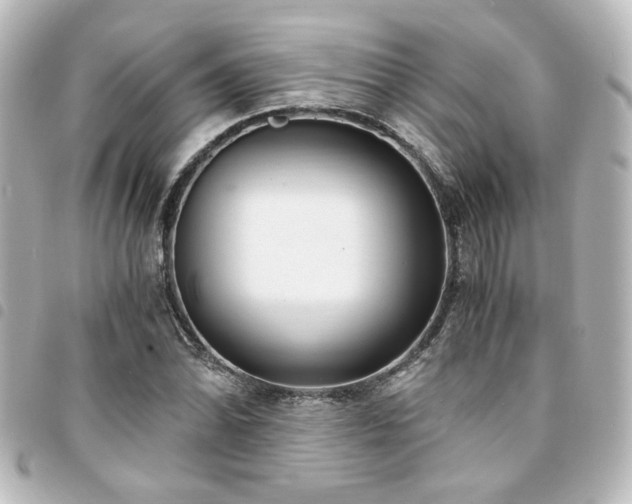 X0000094361070200711021505