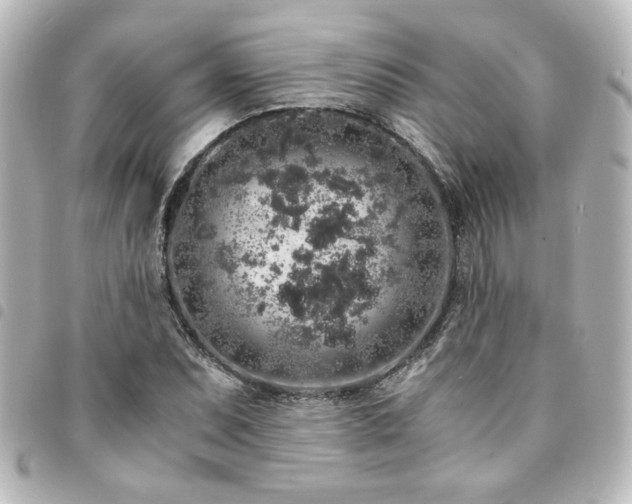 X0000094361071200711021505