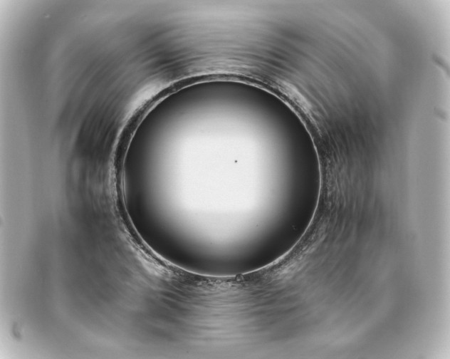 X0000094361072200711021505