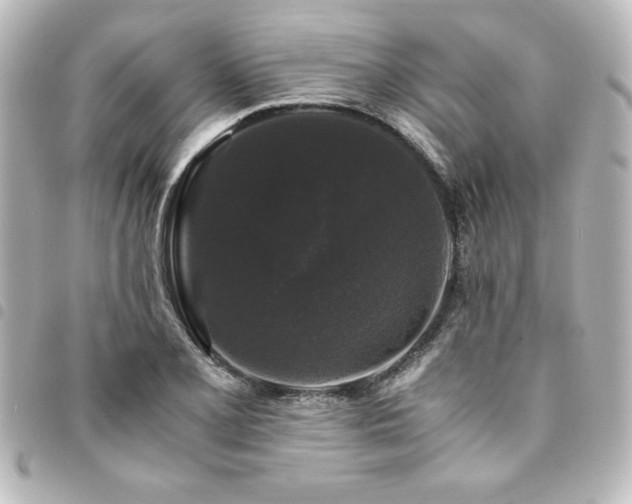 X0000094361077200711021505