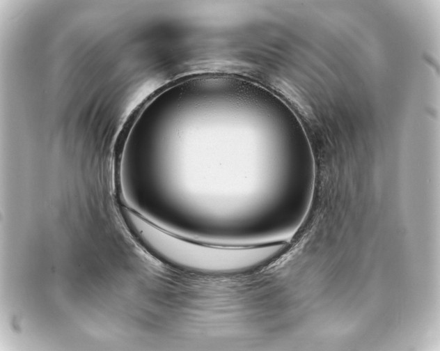 X0000094361079200711021505