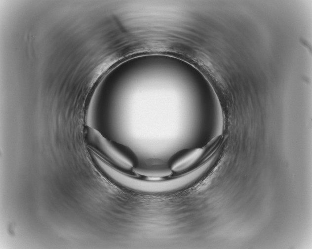 X0000094361081200711021505