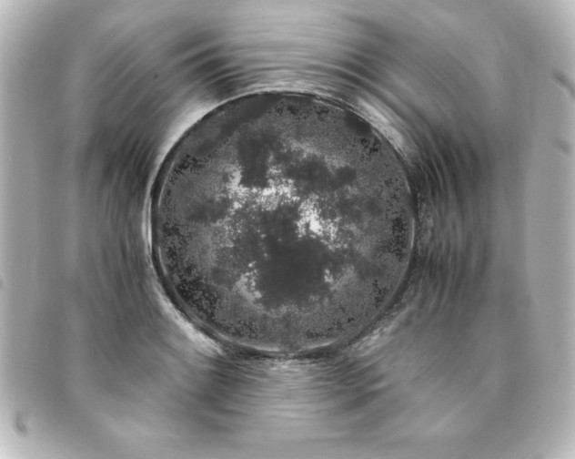 X0000094361084200711021505