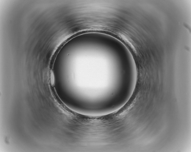 X0000094361085200711021505