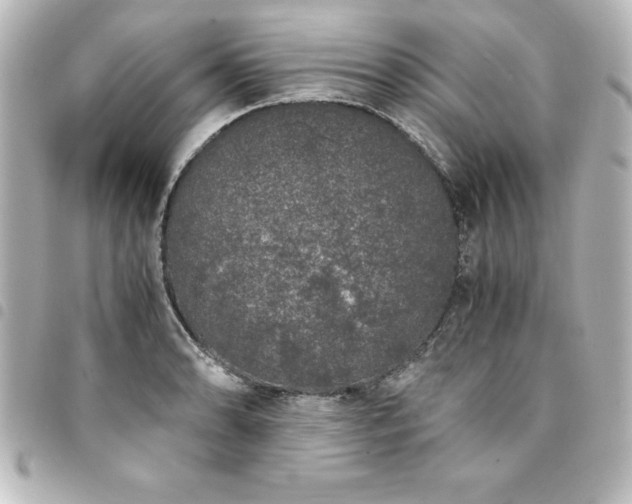 X0000094361086200711021505