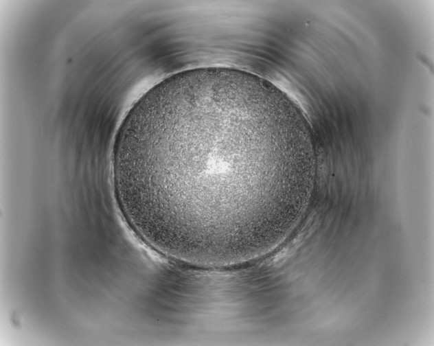 X0000094361088200711021505