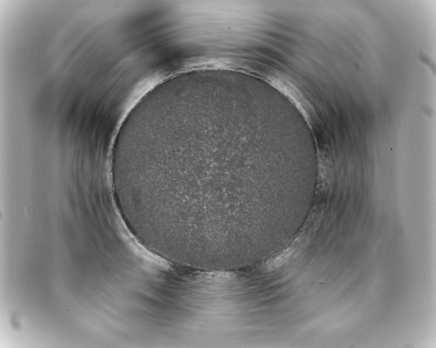 X0000094361090200711021504