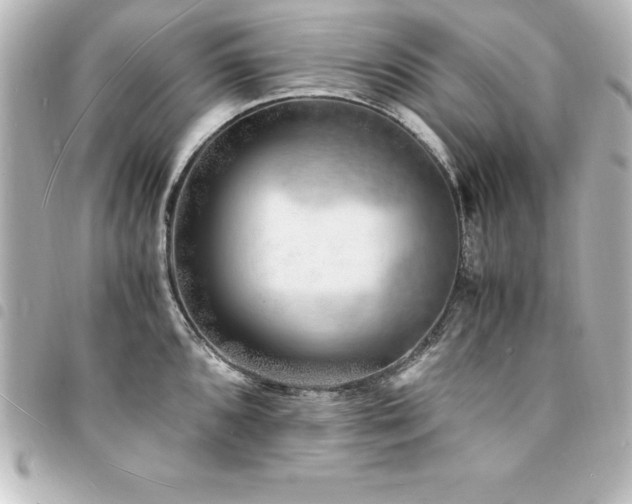 X0000094361096200711021504