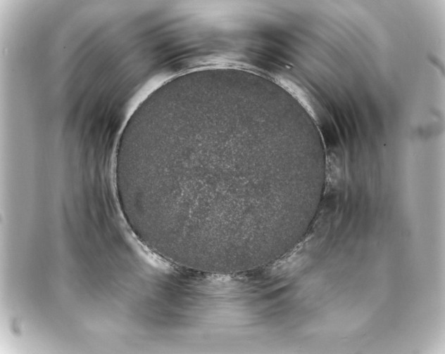 X0000094361098200711021504