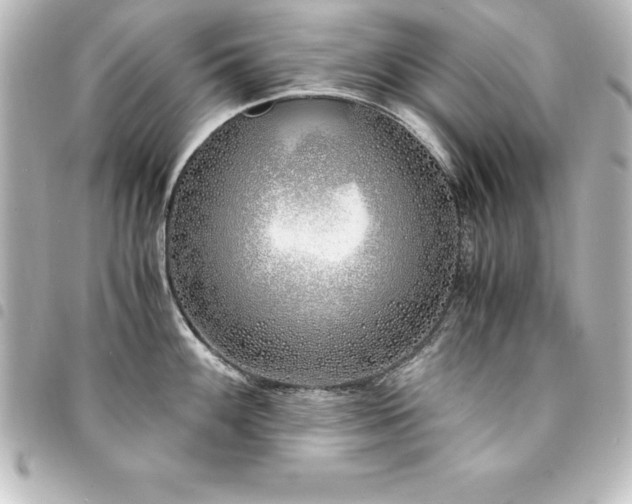 X0000094361100200711021504