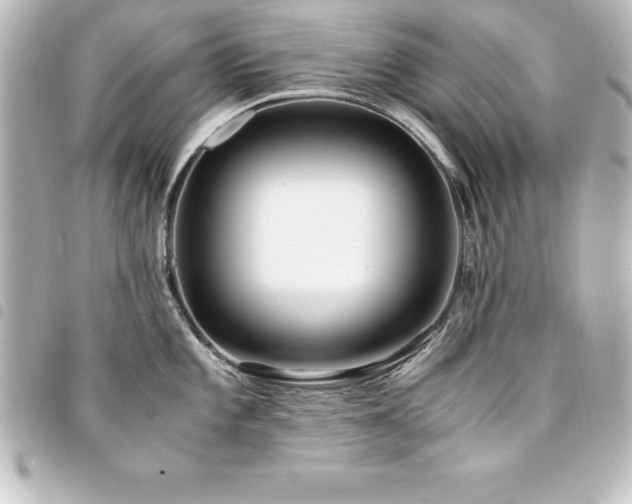 X0000094361101200711021504