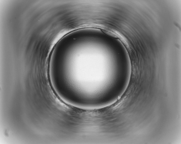 X0000094361102200711021504